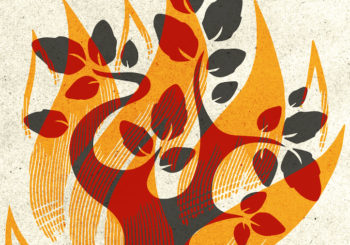 Illustration of the burning bush