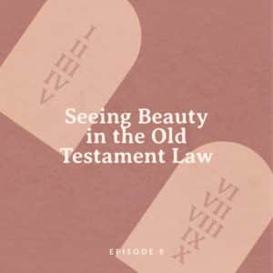 gWmvxfkdW4c7ItZ7X-eyRNYe-300x300