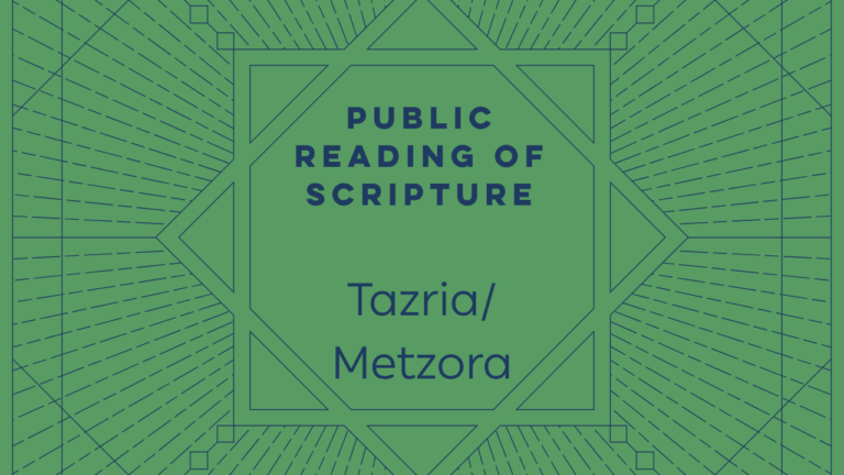 Weekly Torah Portions and Readings 26 Torah Portion Template - Tazria_Metzora
