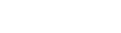 CHT_burstLogo burst web white